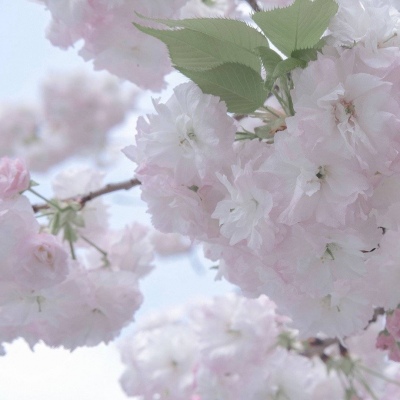 Furry绘画色彩技巧福瑞交流群