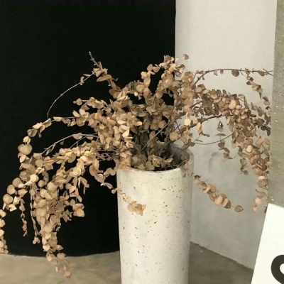 Furry插画色彩搭配兽圈群